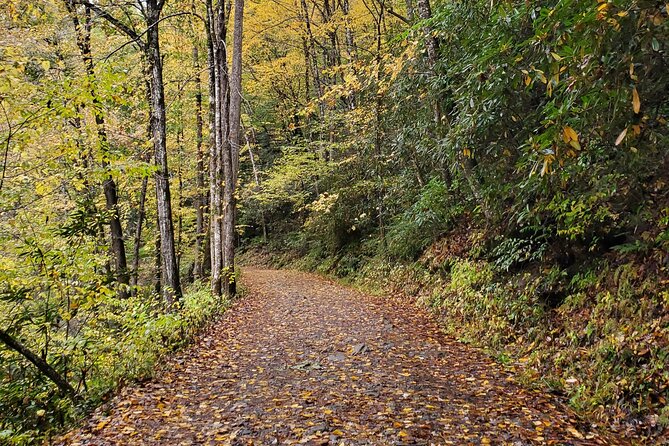 Privately Guided Full Day Hike - The Blue Ridge Parkway drive: scenic bonus with a real purpose