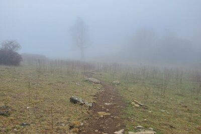 Privately Guided Full Day Hike - Pisgah National Forest plus guided meditation: the calm moment that makes the day feel complete