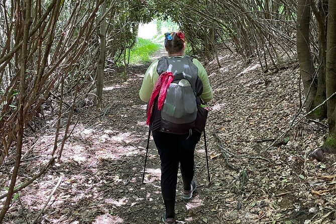 Privately Guided Full Day Hike - How the route stays flexible: matching difficulty to your group