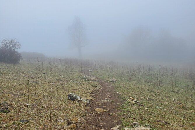 Privately Guided Full Day Hike - Pisgah National Forest plus guided meditation: the calm moment that makes the day feel complete