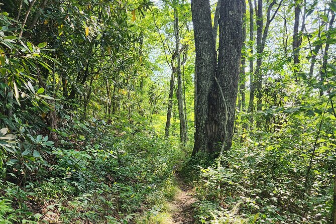 Privately Guided Half Day Hike - Snacks, trekking poles, and small details that keep it fun