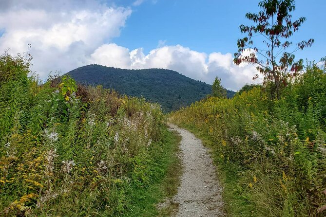 Privately Guided Half Day Hike - Weather, flexibility, and staying sane on the trail