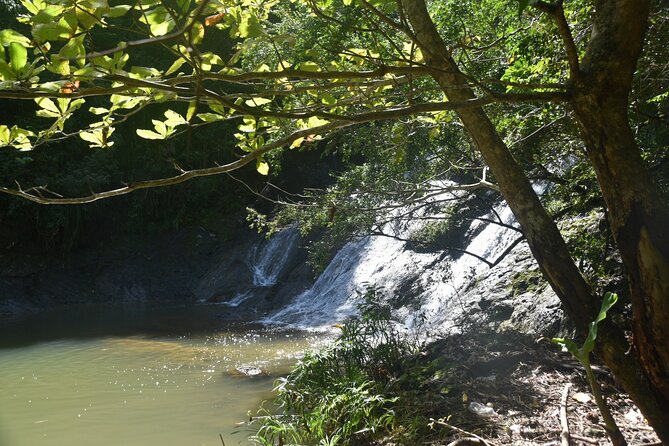 Puerto Rico Waterfall Hiking Tour: Discover Hidden Gems 2.0 - Key highlights you’ll care about