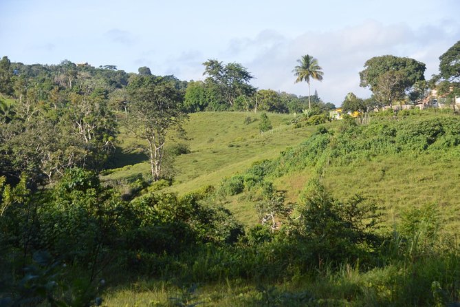 Puerto Rico Waterfall Hiking Tour: Discover Hidden Gems 2.0 - Waterfalls Outside San Juan: What This Day Really Delivers