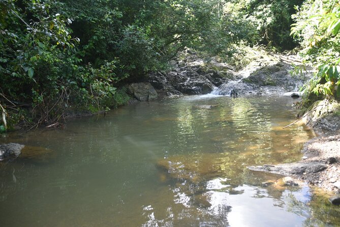 Puerto Rico Waterfall Hiking Tour: Discover Hidden Gems 2.0 - Cooling Off at the Base: Swimming, Jumping, and That Cold-Burst Feeling