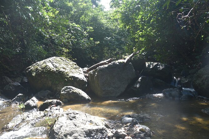 Puerto Rico Waterfall Hiking Tour: Discover Hidden Gems 2.0 - Local Food After the Workout: What to Budget and How Vegetarian Works