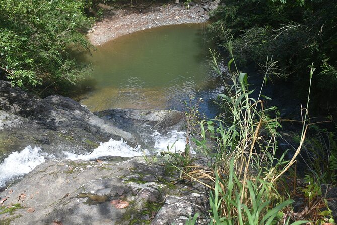 Puerto Rico Waterfall Hiking Tour: Discover Hidden Gems 2.0 - The Value of the $80 Price: Pickup, Guide, Water, and What’s Missing