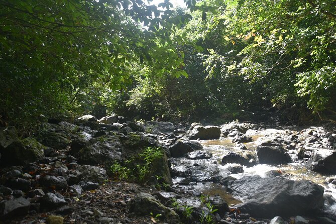 Puerto Rico Waterfall Hiking Tour: Discover Hidden Gems 2.0 - Guide Matters: Why Manuel, Jesus, Jerry, and Isaac Come Up