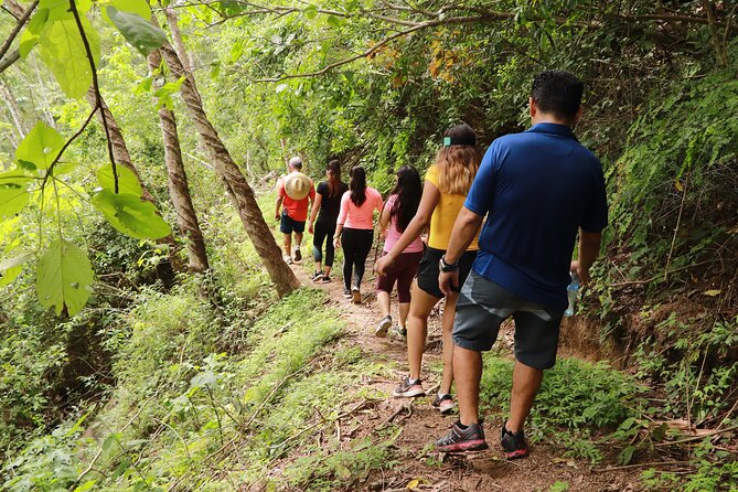 Puerto Vallarta Botanical Gardens Hiking Tour - Tequila tasting by the water, plus food you can buy