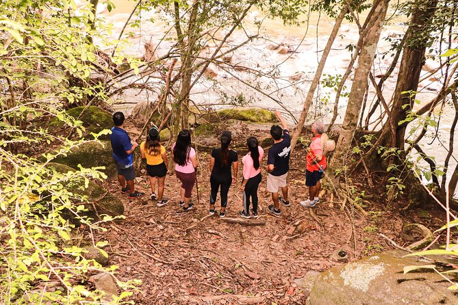 Puerto Vallarta Botanical Gardens Hiking Tour - Animal Sanctuary time: monkeys, toucans, macaws, and more