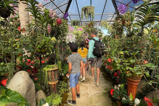 Puerto Vallarta Botanical Gardens Hiking Tour - Price and logistics: what $102 covers, and what can add up