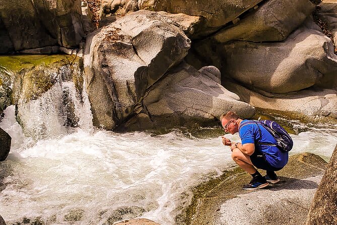 Puerto Vallarta Botanical Gardens Hiking Tour - Who should choose this tour—and who should rethink it