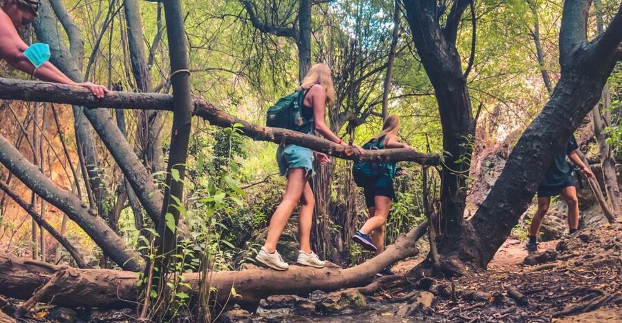 Punta Cana: Los Haitises Hike & Kayaking Mangroves - What to Bring (and What You Can Rely On)
