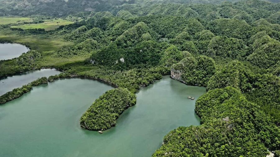 Punta Cana: Los Haitises Hike & Kayaking Mangroves - Who This Tour Fits Best (and Who Should Think Twice)
