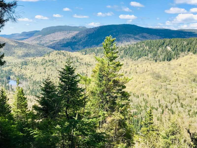 Quebec City: Guided Hike in Jacques-Cartier National Park - Pickup, bus rides, and how timing feels in real life