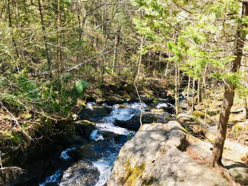 Quebec City: Guided Hike in Jacques-Cartier National Park - Guides in the mix: what you can expect from a small group