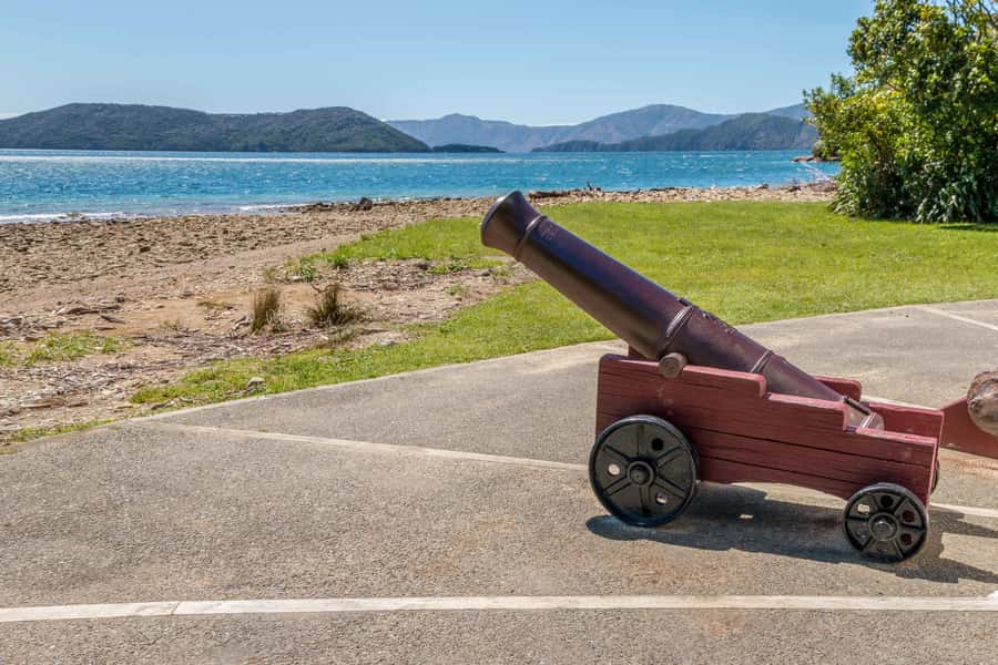 Queen Charlotte Track: Cruise & Self-Guided Hike from Picton - The Queen Charlotte Track day that feels like two trips in one