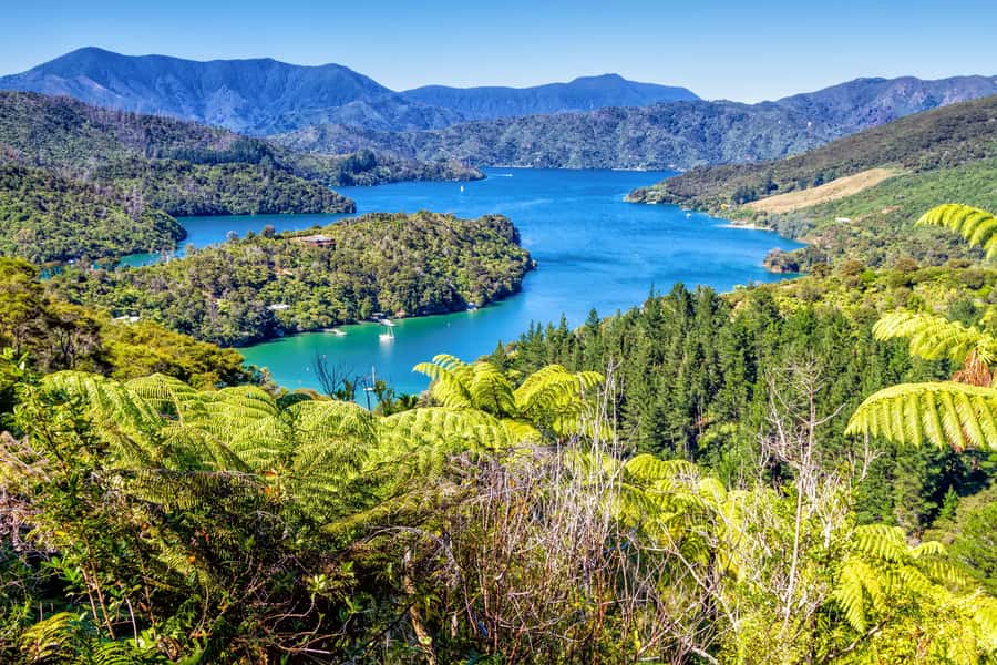 Queen Charlotte Track: Cruise & Self-Guided Hike from Picton - Picton cruise to Ship Cove: the scenic warm-up