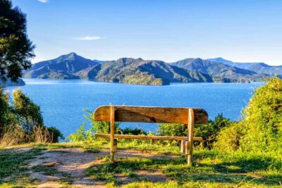 Queen Charlotte Track: Cruise & Self-Guided Hike from Picton - Ship Cove: where the walking story starts