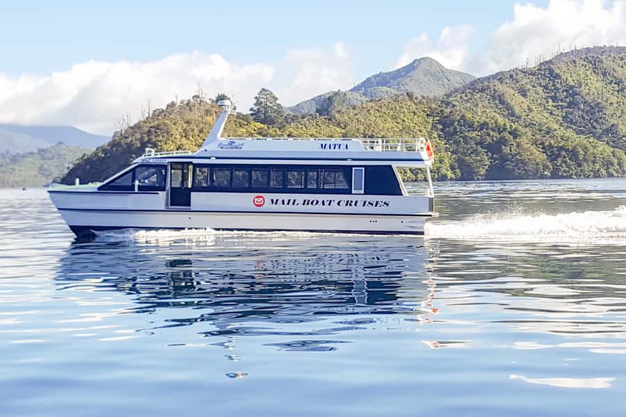 Queen Charlotte Track: Cruise & Self-Guided Hike from Picton - On the track: native bush, views, and how to handle the footing