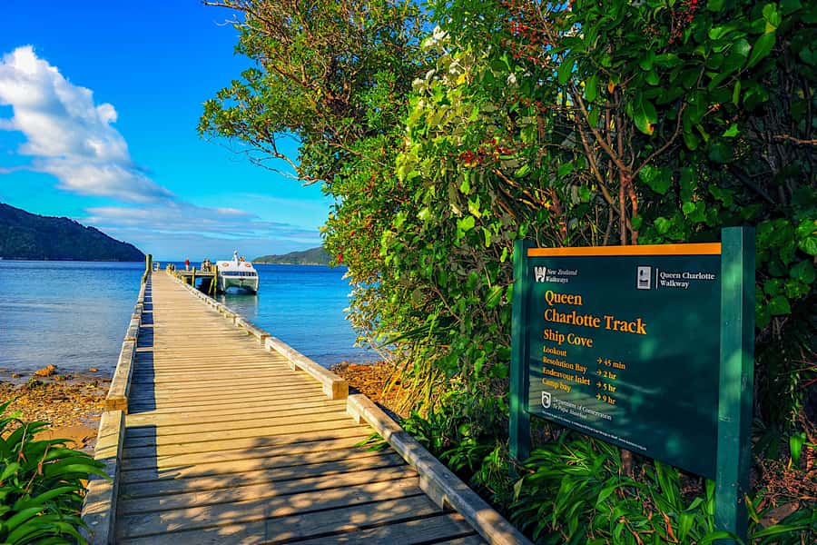 Queen Charlotte Track: Cruise & Self-Guided Hike from Picton - Furneaux Lodge and Punga Cove: your trail reward and reset