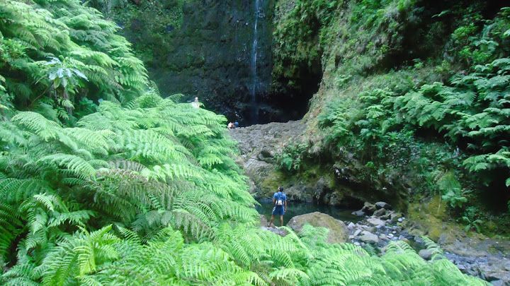 Queimadas Natural Park 5-Hour Guided Hike - Key highlights at a glance