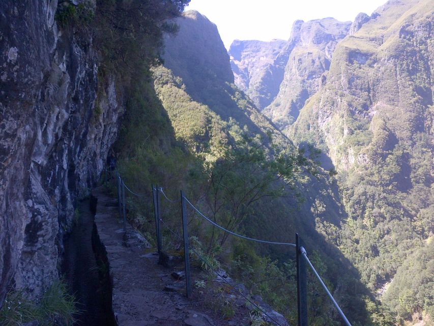 Queimadas Natural Park 5-Hour Guided Hike - The 12 km trek: what “easy to moderate” really looks like at 990 meters