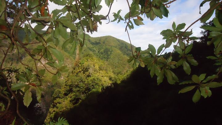 Queimadas Natural Park 5-Hour Guided Hike - Hand-cut tunnels: why a torch matters more than you expect