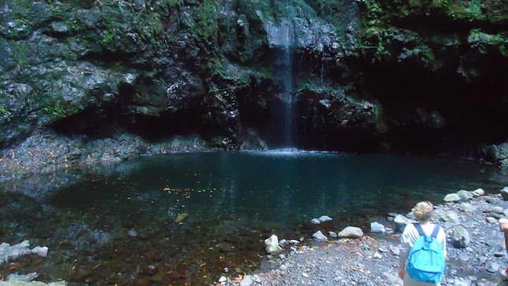 Queimadas Natural Park 5-Hour Guided Hike - The end of the hike: plan for extra walking time and drop-off variations