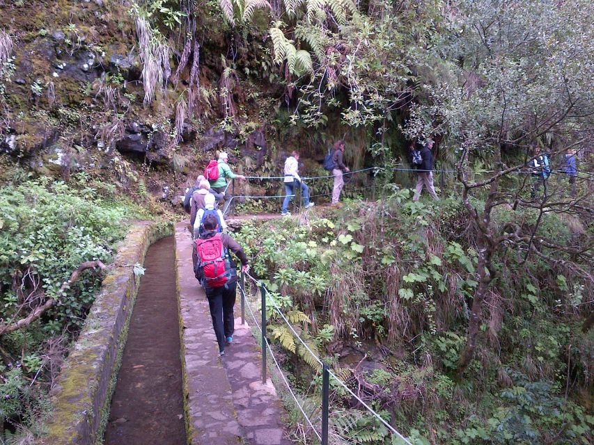 Queimadas Natural Park 5-Hour Guided Hike - Should you book this 5-hour guided hike?