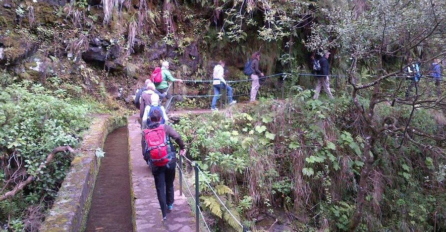 Queimadas Natural Park 5-Hour Guided Hike - Getting picked up in Funchal (and nearby) without losing your start time