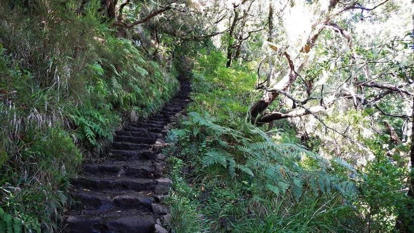 Rabaçal: 25 Fontes & Risco Levada Hiking Transfer - Key things I’d circle in your notes