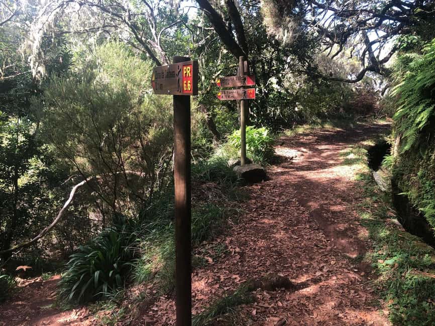 Rabaçal: 25 Fontes & Risco Levada Hiking Transfer - Who this hike fits best (and who should skip it)