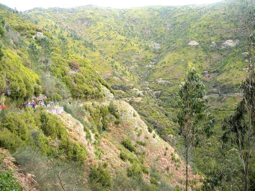 Rabaçal: 25 Fontes & Risco Levada Hiking Transfer - Entering Rabaçal early: why the morning matters on Madeira