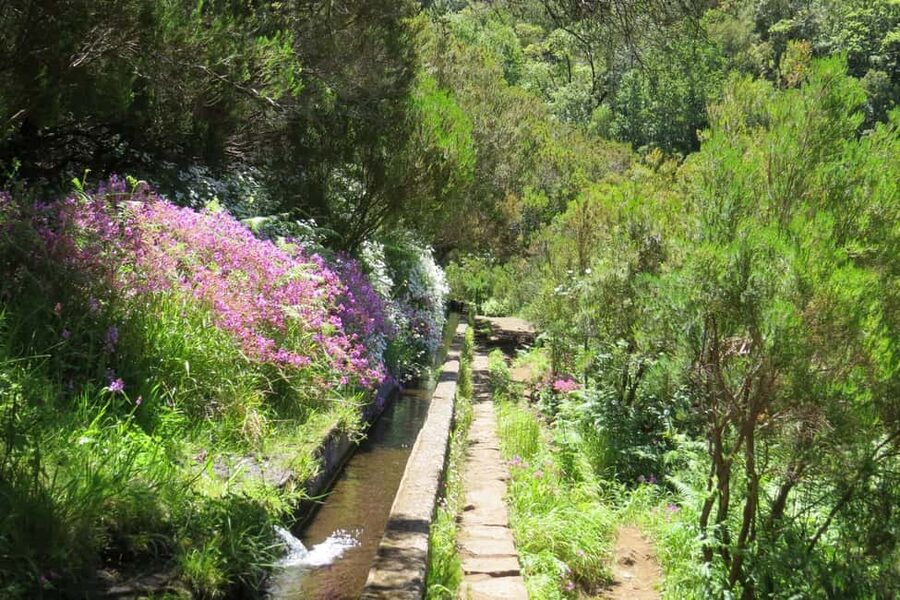 Rabaçal: 25 Fontes & Risco Levada Hiking Transfer - The levada route: 25 Fontes plus the Risco waterfall experience