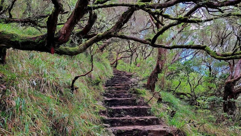 Rabaçal: 25 Fontes & Risco Levada Hiking Transfer - Timing your pace: how 5 hours really feels