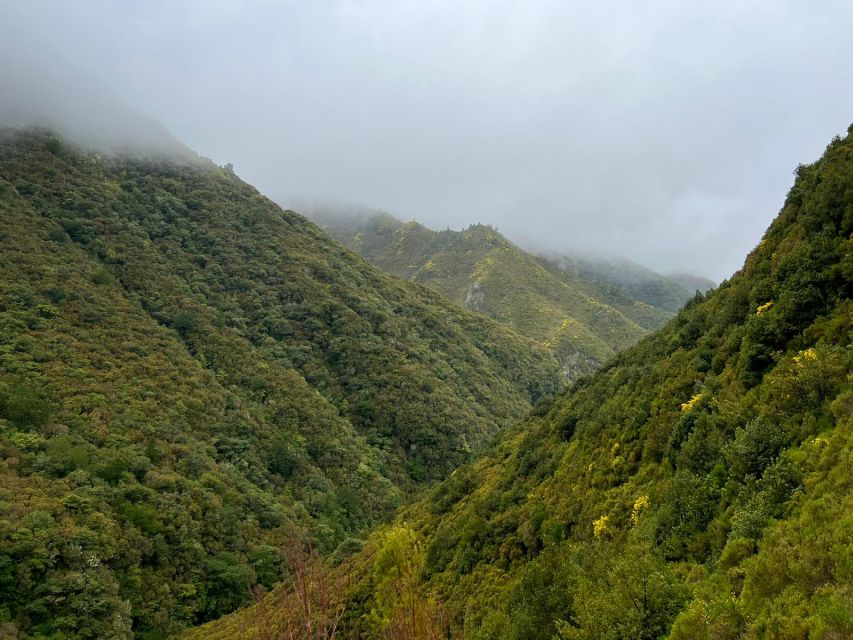 Rabaçal: 25 Fontes & Risco Levada Hiking Transfer - Van transfer logistics: simple, shared, and actually useful