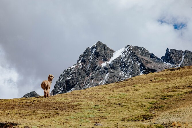 Rainbow Mountain and Red Valley Hike – 2 Days / 1 Night - Food, Comfort, and the Little Details That Matter