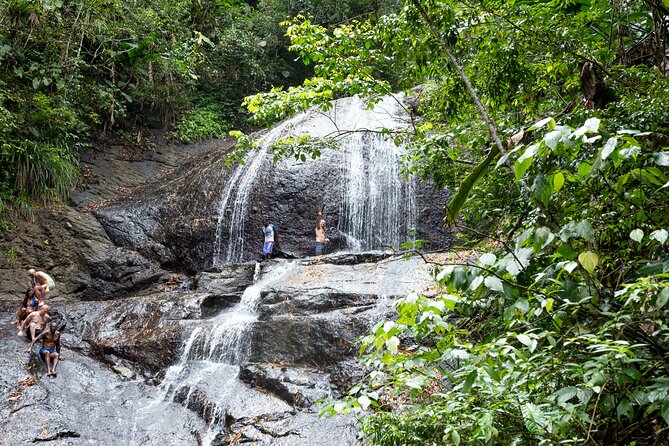 Rainforest Hike and Waterfall Safari - Key highlights you should know before you go