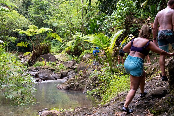 Rainforest Hike and Waterfall Safari - Why this West Coast trip starts from Gros Islet (and why that matters)