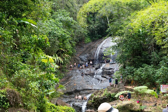 Rainforest Hike and Waterfall Safari - The fruit plantation stop: a taste of how locals live with the land