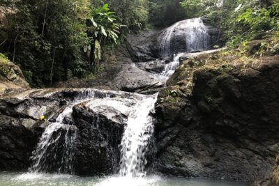 Rainforest Hike and Waterfall Safari - The open-air 4x4 drive: countryside views plus real off-road fun