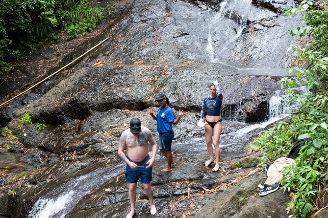 Rainforest Hike and Waterfall Safari - The rainforest hike: short, but you still need sturdy footing