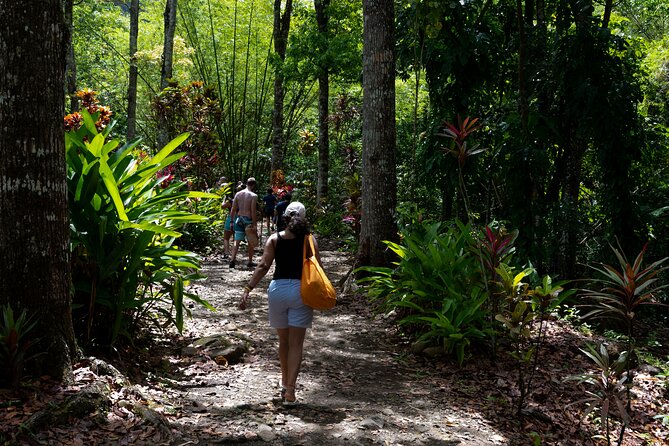 Rainforest Hike and Waterfall Safari - Who this tour fits best (and who might want a different day plan)