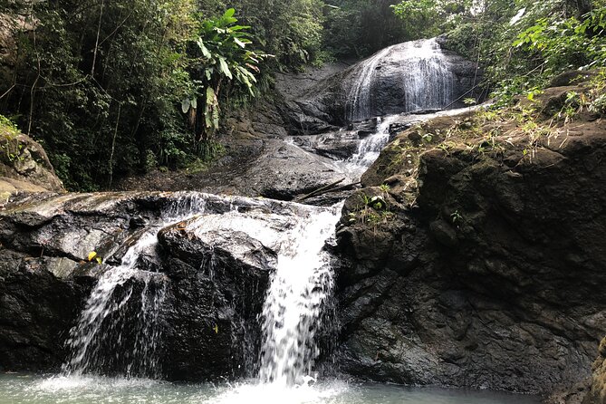 Rainforest Hike and Waterfall Safari - The open-air 4x4 drive: countryside views plus real off-road fun
