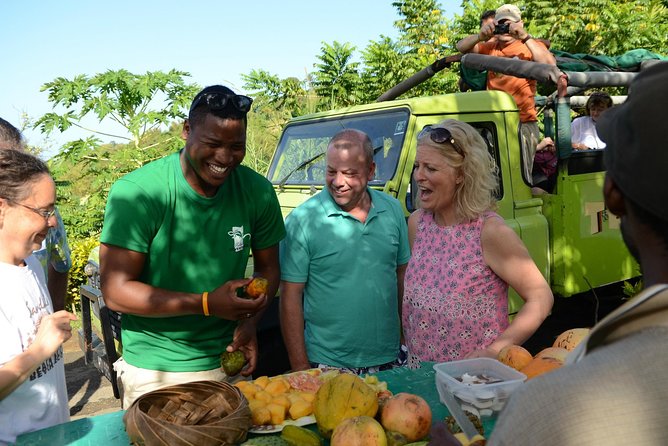Rainforest Hike & Waterfall Safari St. Lucia From Castries - Open-Top Jeep Safari and Morne Fortune Harbor Views