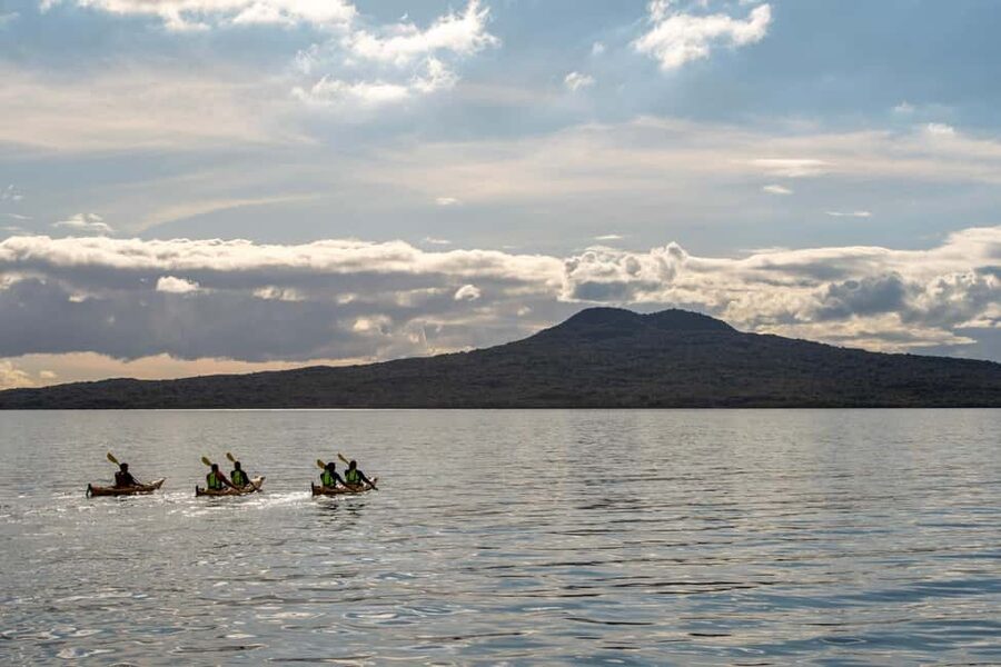 Rangitoto Island: Sea Kayak & Summit Hike Day Trip - Kayaking the Waitemata: paddling out to Rangitoto with expert coaching