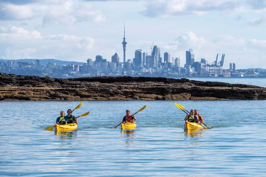 Rangitoto Island: Sea Kayak & Summit Hike Day Trip - Rangitoto Island hike: pohutukawa trails and a real crater payoff