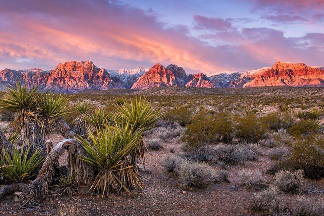 Red Rock Canyon Hike with Transport from Las Vegas - Red Rock Canyon is the quick Vegas escape you actually feel