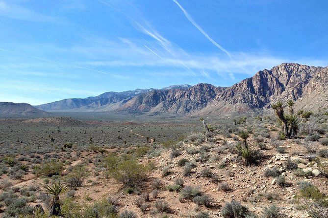 Red Rock Canyon Hike with Transport from Las Vegas - The day’s timing: how a 4-hour tour fits into Vegas life